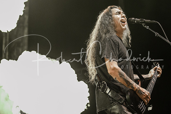 Bassist Tom Araya